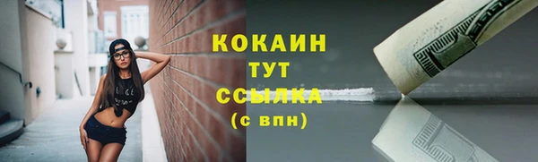 крисы Сосновоборск