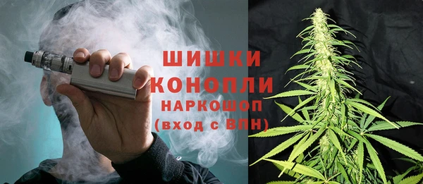 бошки Белокуриха