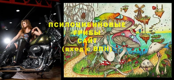 a pvp Снежногорск